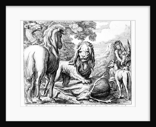 The Lion's Share by Francis Barlow