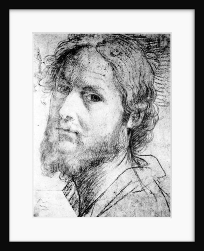 Self-Portrait, c.1510 by Jacopo Palma