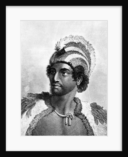 Portrait of Kaneena, a Chief of the Sandwich Islands in the North Pacific Ocean by John Webber