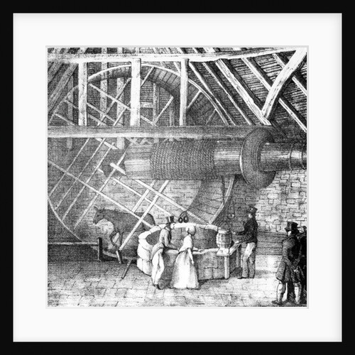 Well hoist driven by a Donkey, c.1870 by English School