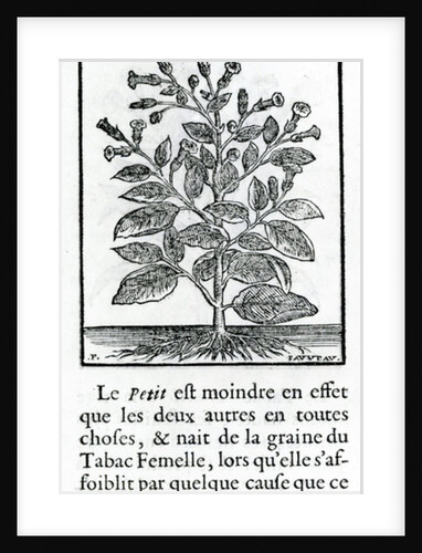 le Perit Tabac by French School