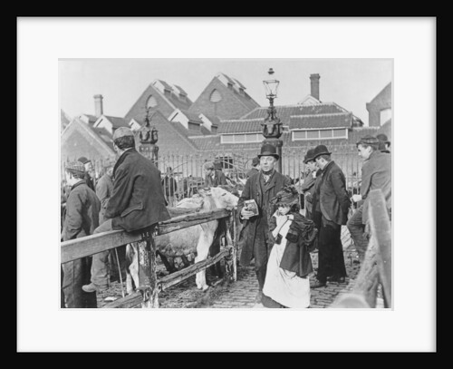 British village cattle market, Victorian, 19th century by English School