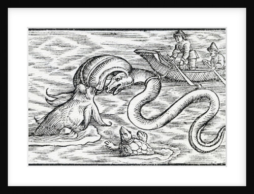 Sea monsters, 1511 by Spanish School