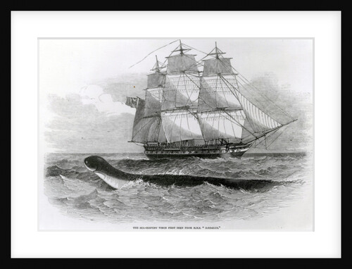 The Great Sea-Serpent when First Seen from H.M.S. Daedalus by English School
