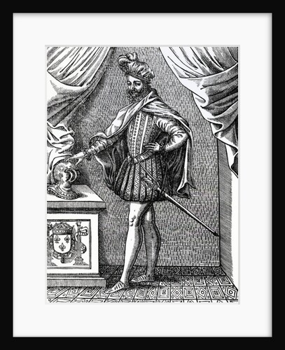 Charles IX, King of France, 1573 by French School