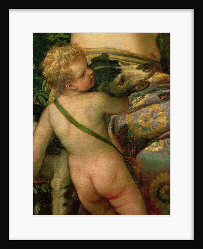 Cupid by (1528-88) Veronese