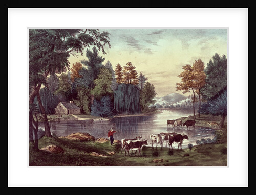 Cows on the Shore of a Lake by American School
