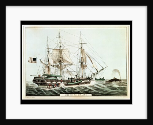 American Whaler by American School