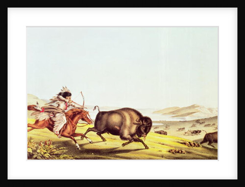 Hunting the Buffalo by American School