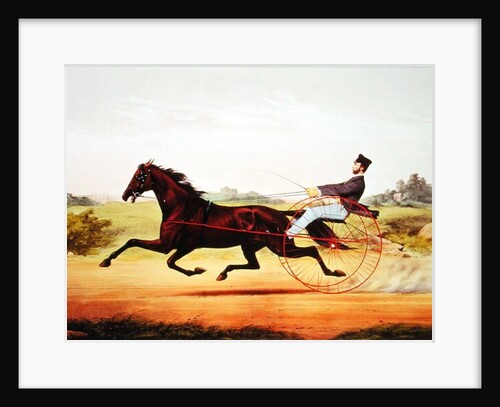 The Celebrated Horse, George M. Patchen, The Champion of the Turf by American School