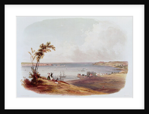 Entry to the Bay of New York, Staten Island by Karl Bodmer