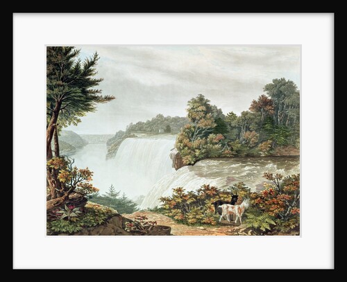 Niagara Falls, from Goat Island by William James Bennett