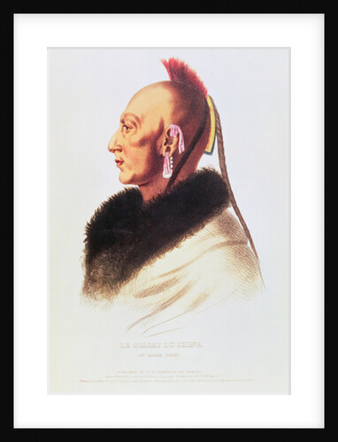 An Osage Chief by American School