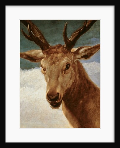 Head of a Stag, 1634 by Diego Rodriguez de Silva y Velazquez