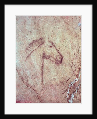 Head of a Horse by Paleolithic Paleolithic