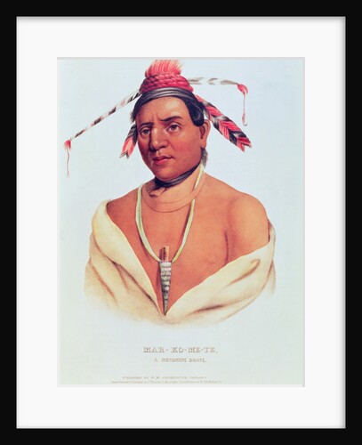 Portrait of Mar-Ko-Me-Te, A Menomene Brave, 1838 by Charles Bird King