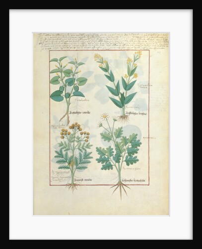 Ms Fr. Fv VI #1 fol.124 by Robinet Testard