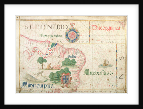 Mouth of the Amazon, Brazil by Diego Homem