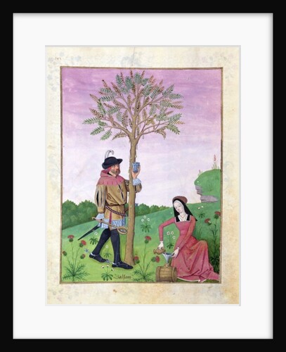 Ms Fr. Fv VI #1 fol.131r Lavender, Hellebore, and a relative of the Cucumber family by Robinet Testard