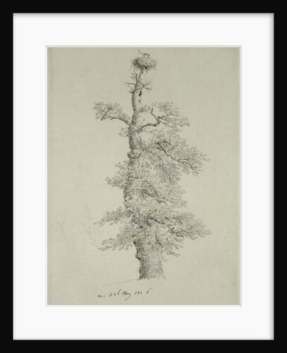 Ancient Oak Tree with a Stork's Nest, 23rd May 1806 by Caspar David Friedrich