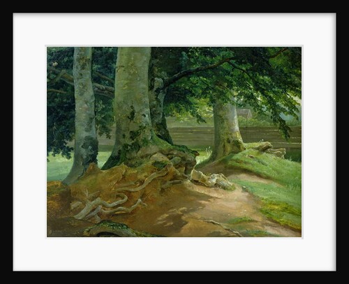 Beech Trees in Frederiksdal near Copenhagen, 1828 by Christian Ernst Bernhard Morgenstern