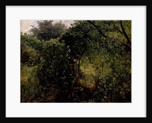 Bushes at Pillnitz, c.1818-28 by Karl Gustav Carus