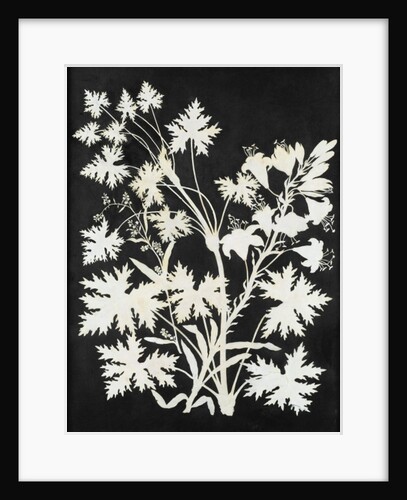 Flowers in Silhouette by Philipp Otto Runge