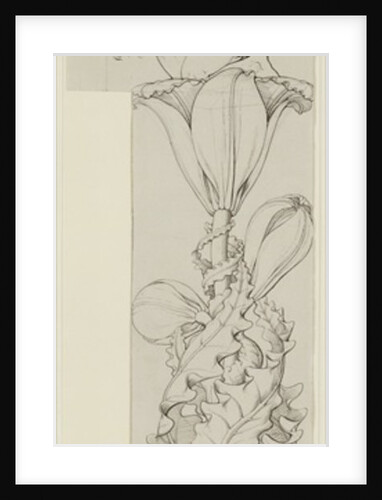 Genius of the Lily, 1809 by Philipp Otto Runge