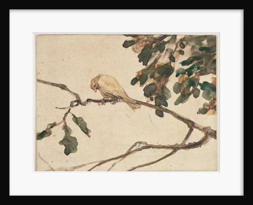 Canary on an Oak Tree Branch by Adolph Friedrich Erdmann von Menzel