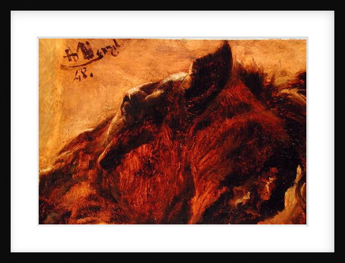 Head of a Dead Horse, 1848 by Adolph Friedrich Erdmann von Menzel