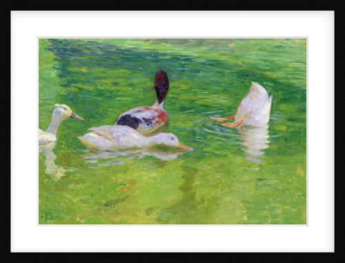 Ducks, c.1897 by Julius August Friedrich Theodor von Ehren