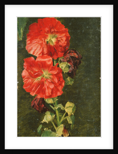 A Stockrose, 1827 by Jacob Gensler