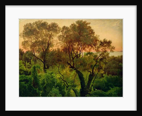 Slope with Olive Trees by Louis Gurlitt