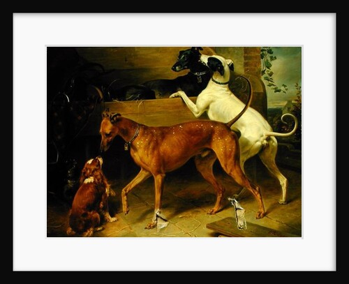 Kruger's Dogs, 1855 by Franz Kruger