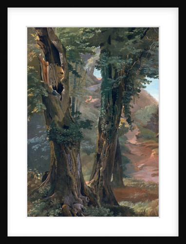 Old Elms, c.1835 by Friedrich Nerly