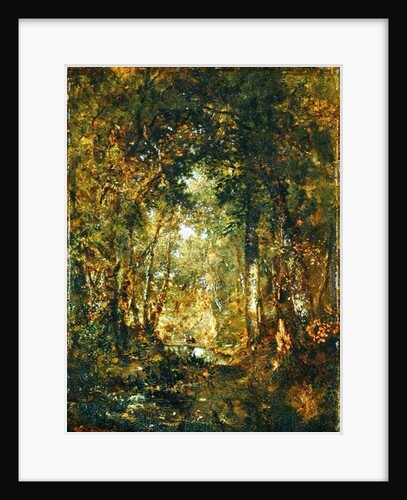In the Wood at Fontainebleau by Theodore Rousseau