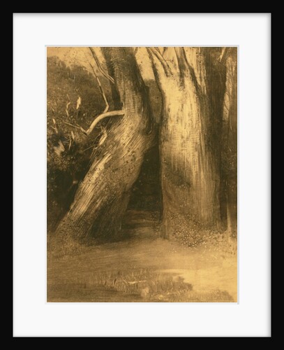Two Trees, c.1875 by Odilon Redon