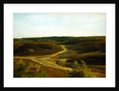 The Moorland near Ehestorf, 1868 by Valentin Ruths