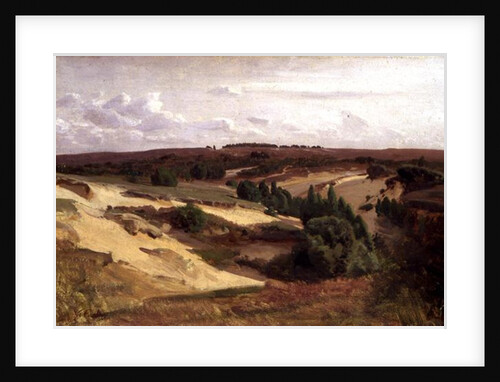 The heath near Bispingen, 1887 by Valentin Ruths