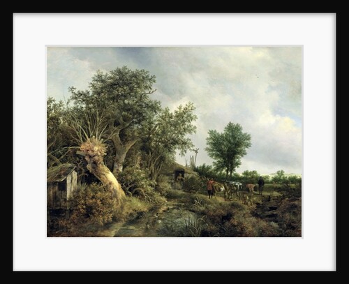 Landscape with a Hut, 1646 by Jacob Isaaksz. or Isaacksz. van Ruisdael