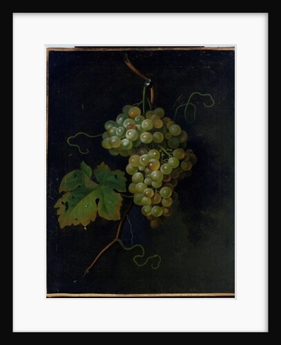 Grapes by Tobias Stranover