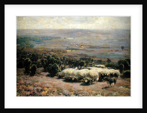 A Herd of Sheep in the Luneburger Heide, 1902 by Heinrich Johann von Zugel