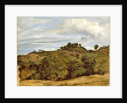 Landscape near Olevano, 1822 by Heinrich Reinhold