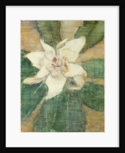 Magnolia Grandiflora by Christian Rohlfs