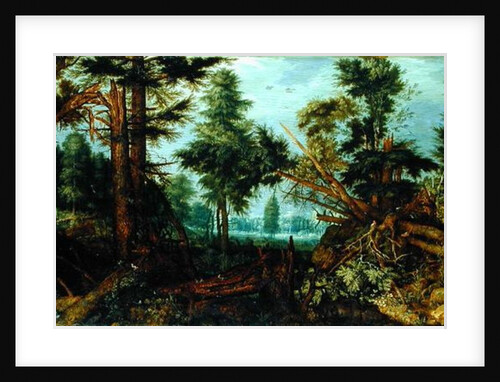Woods after the Storm by Roelandt Jacobsz. Savery