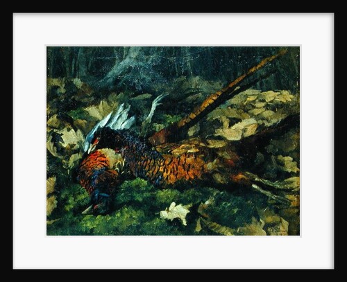 Pheasants, 1873 by Heinrich Wilhelm Truebner