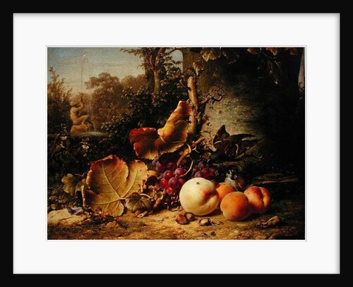 Fruit and Sparrows, 1863 by Johann Wilhelm Preyer