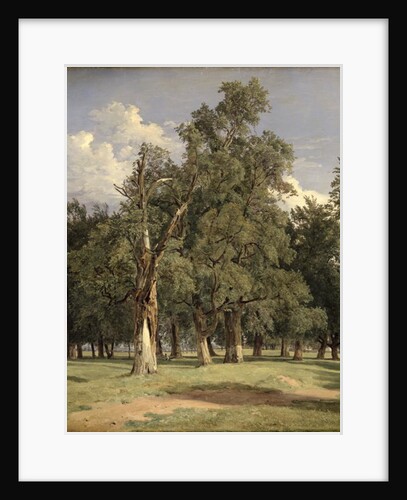 Elm trees in Prater, 1831 by Ferdinand Georg Waldmuller