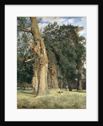 Old elms in Prater, 1831 by Ferdinand Georg Waldmuller