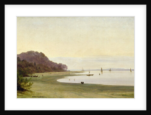The shore of the Elbe by Marcus Johann Haeselich